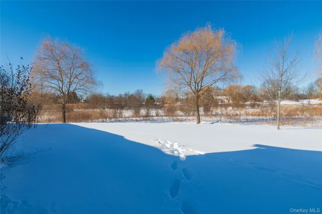a view of a basket ball ground