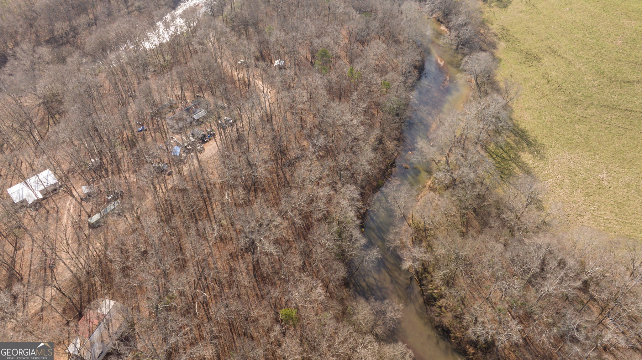 Lot 23-24 Tomlin Way Commerce, GA 30530 - Photo 12 of 42 a close up of a plant in a forest