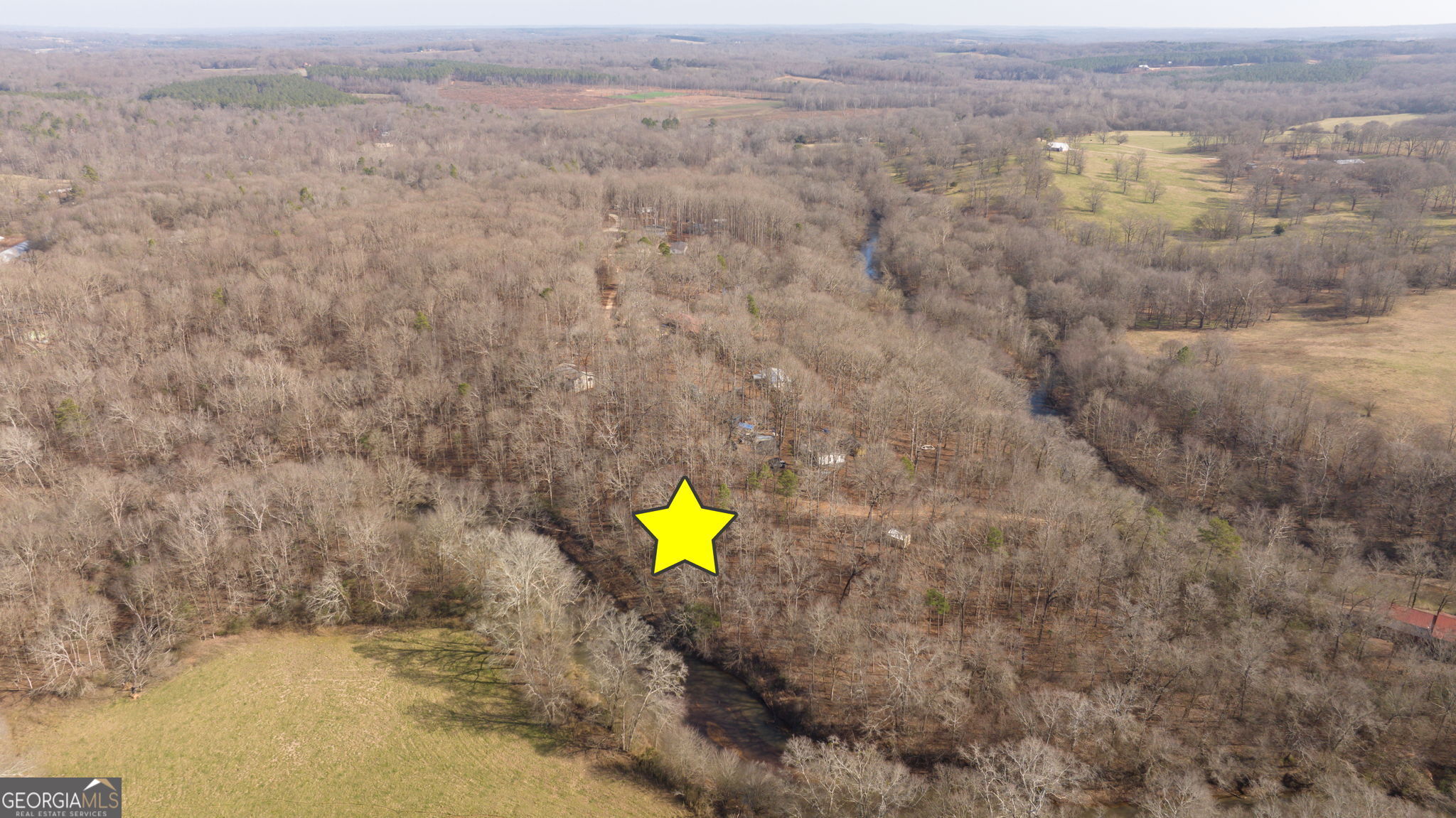 Lot 23-24 Tomlin Way Commerce, GA 30530 - Photo 22 of 42 a view of a dry yard with large trees