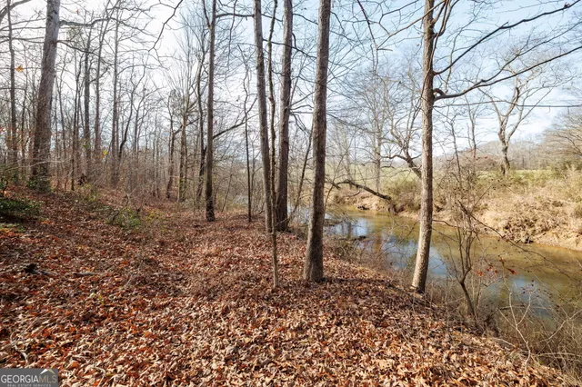 a view of backyard with large trees
