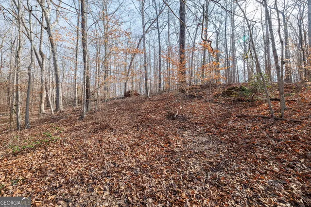 a view of a yard with trees