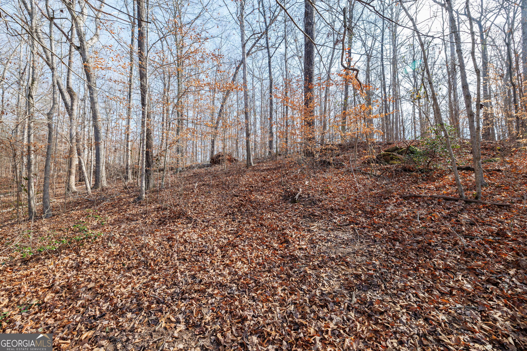 Lot 23-24 Tomlin Way Commerce, GA 30530 - Photo 31 of 42 a view of backyard with large trees