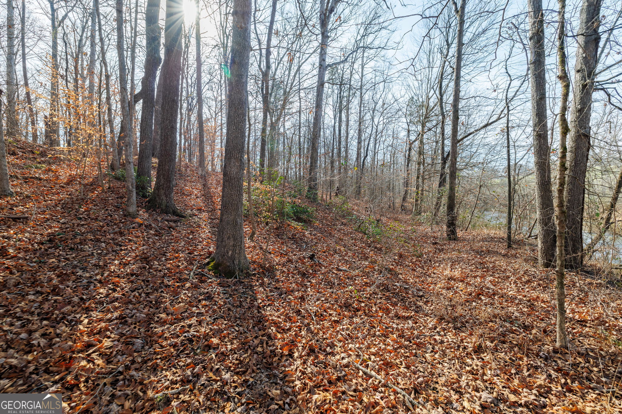 Lot 23-24 Tomlin Way Commerce, GA 30530 - Photo 32 of 42 a view of a backyard