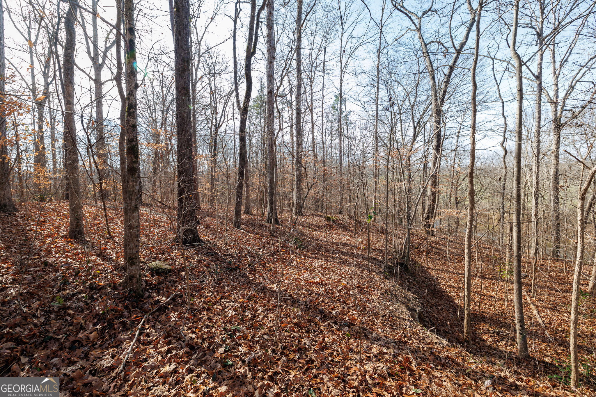 Lot 23-24 Tomlin Way Commerce, GA 30530 - Photo 33 of 42 a view of a yard with trees