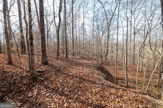 a view of a pathway with trees in front of it