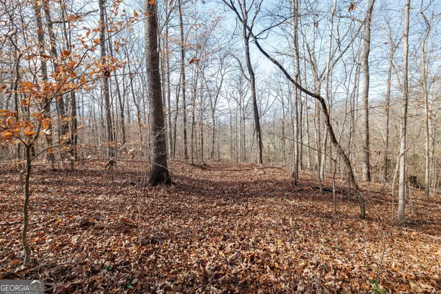 a view of a yard with trees