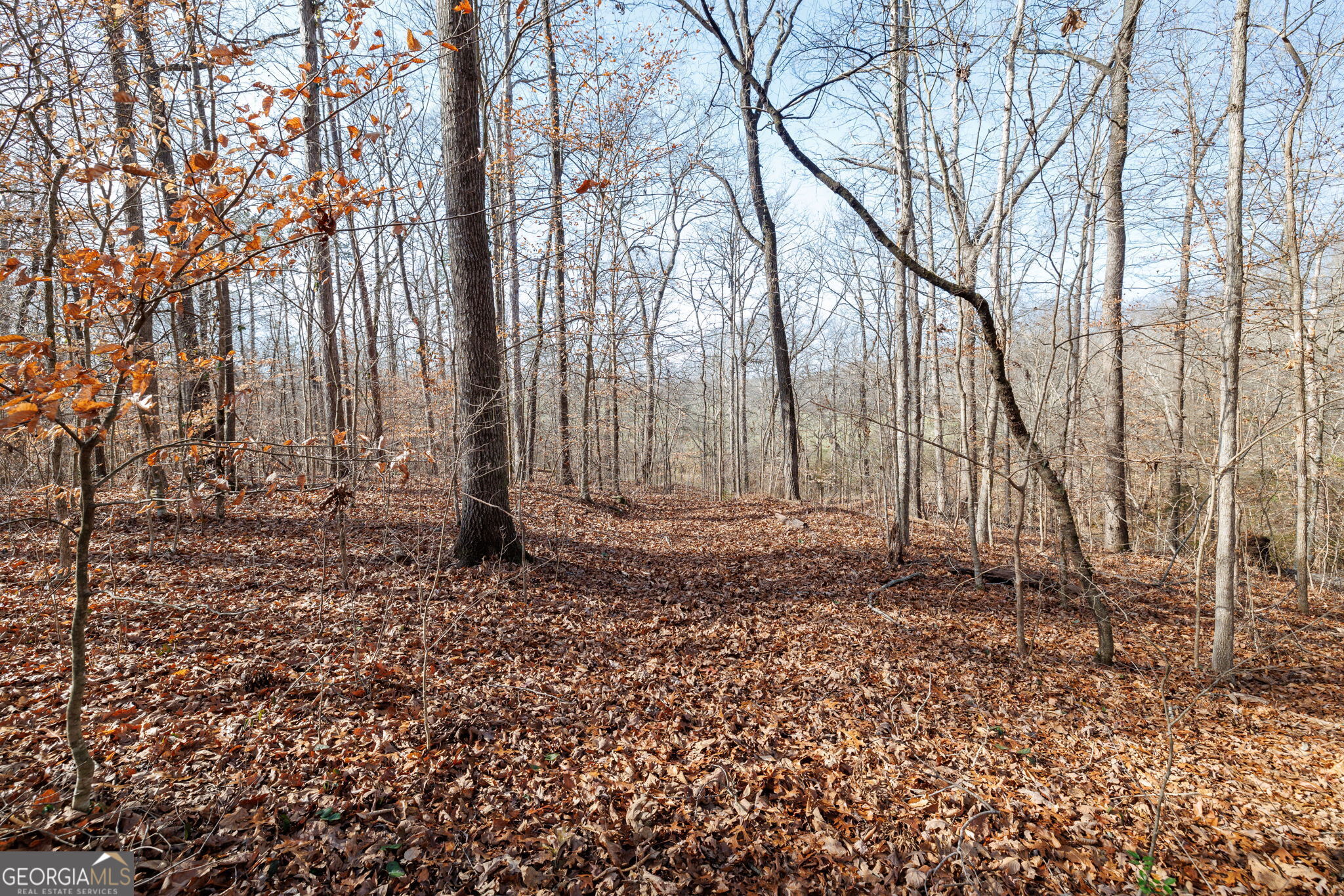 Lot 23-24 Tomlin Way Commerce, GA 30530 - Photo 35 of 42 a backyard of a house with lots of green space