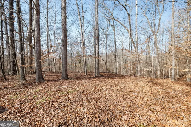 a view of a backyard with trees