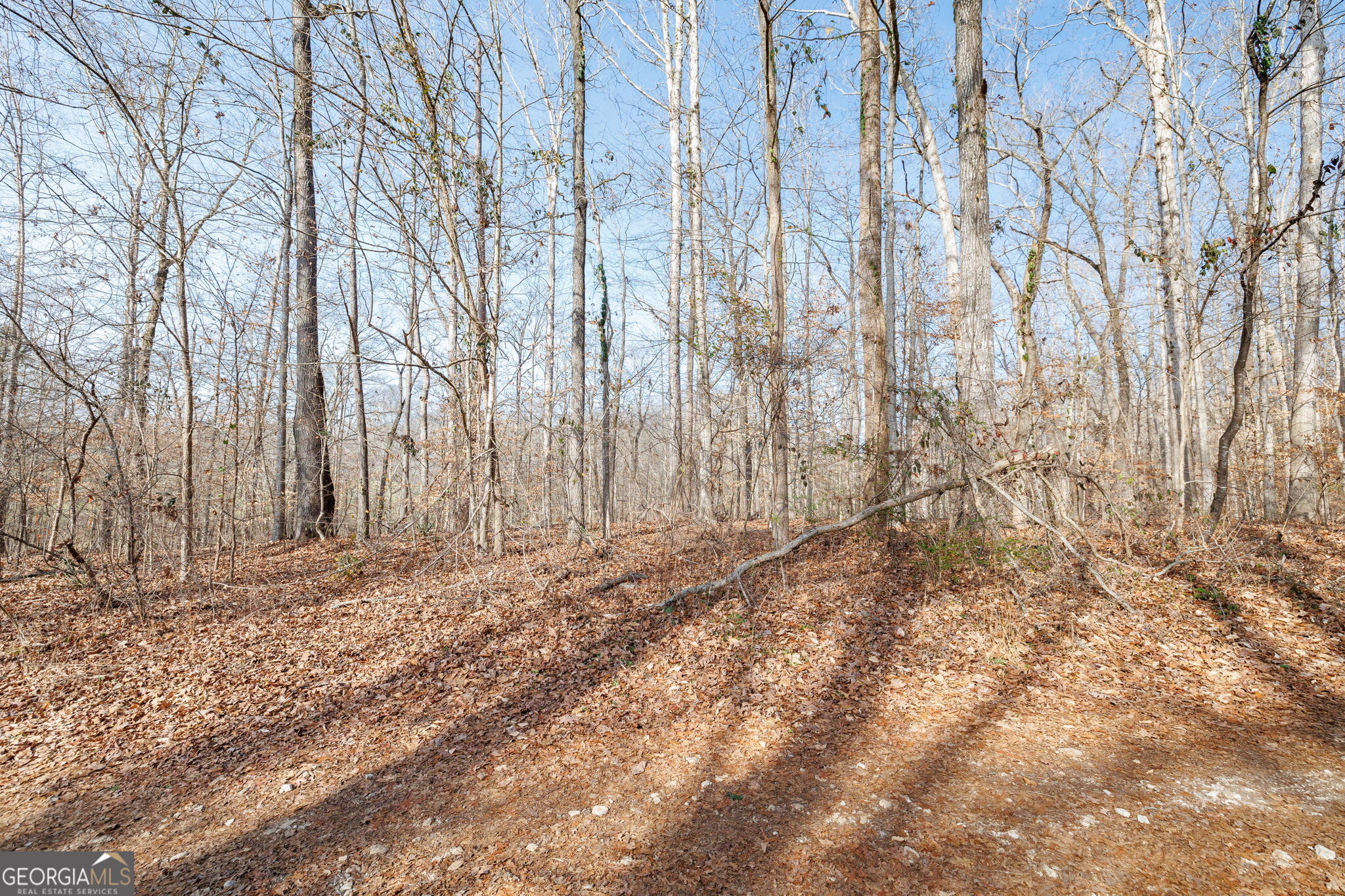 Lot 23-24 Tomlin Way Commerce, GA 30530 - Photo 37 of 42 a view of a yard with trees