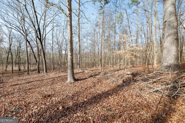 a view of a yard with plants and trees