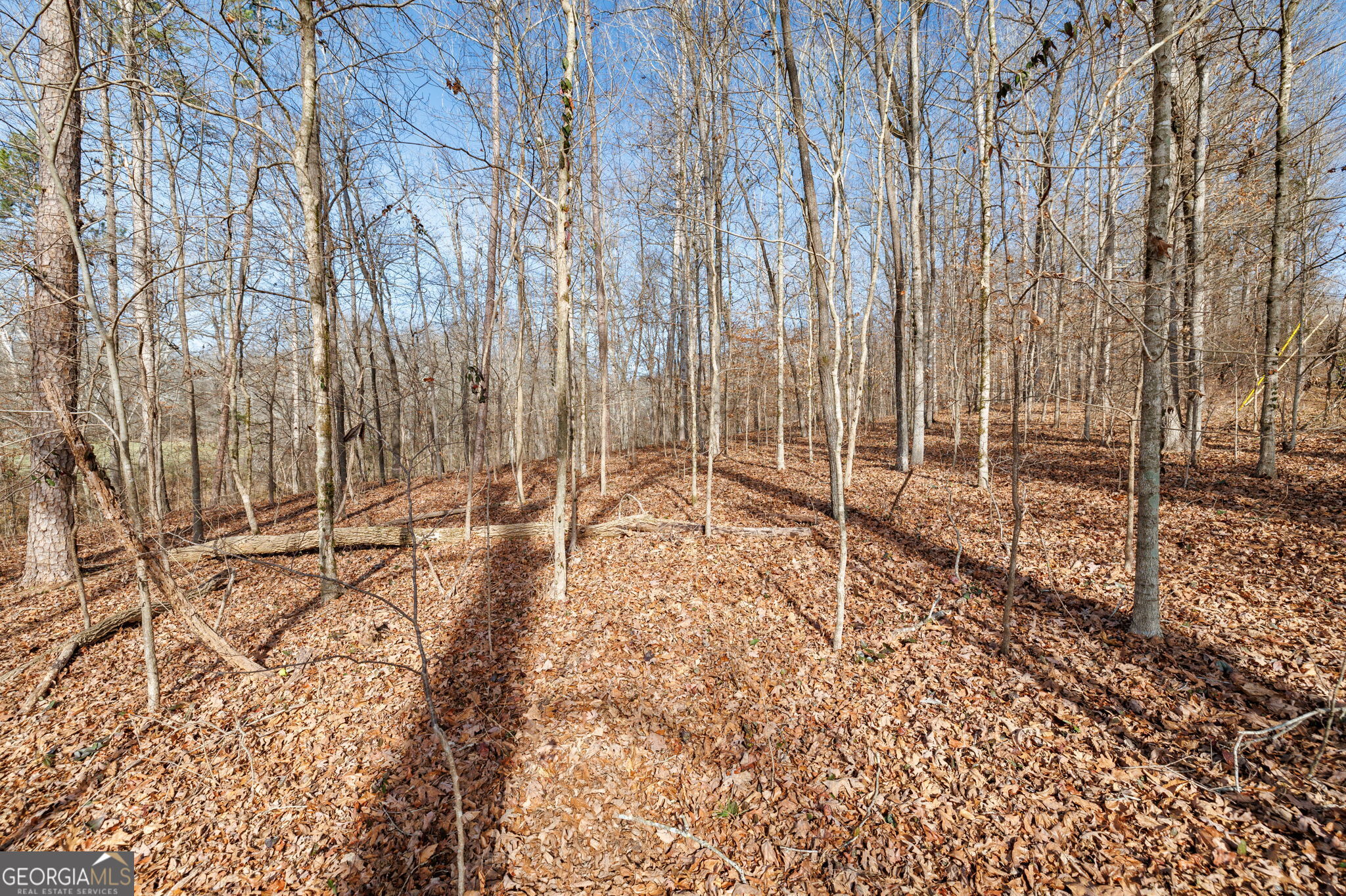 Lot 23-24 Tomlin Way Commerce, GA 30530 - Photo 39 of 42 a view of wooden fence