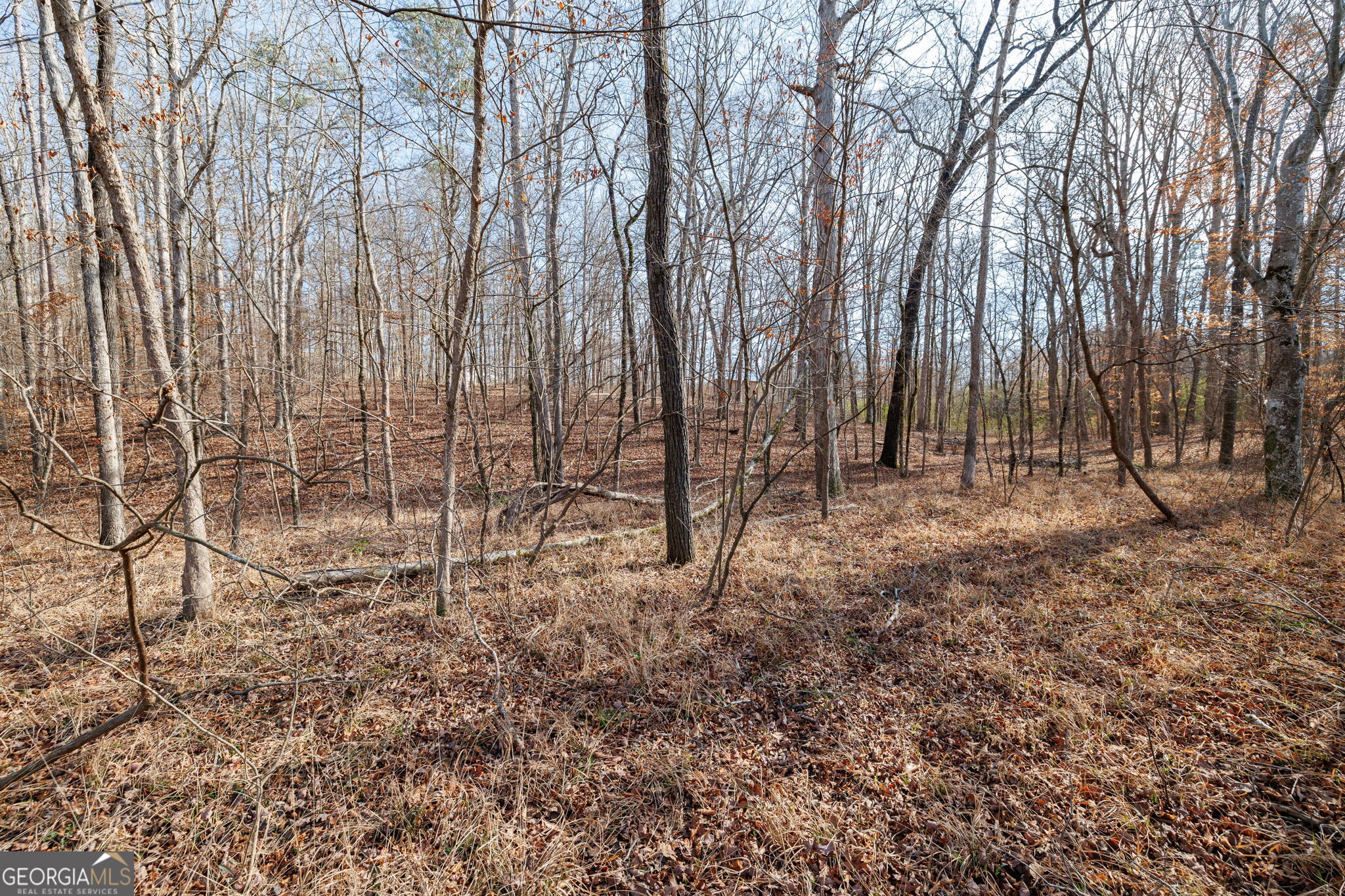 Lot 23-24 Tomlin Way Commerce, GA 30530 - Photo 41 of 42 a view of empty room with trees