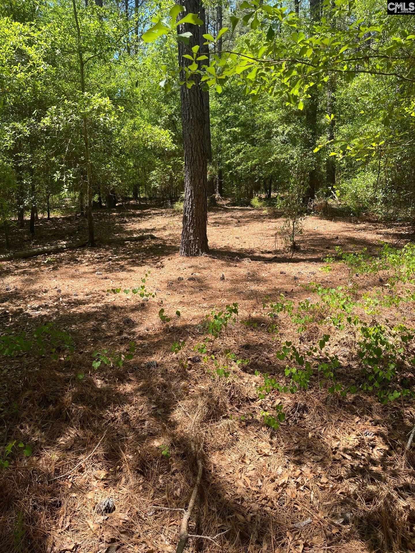 1 Salley Road Salley, SC 29137 - Photo 13 of 15 Gallery Image 13