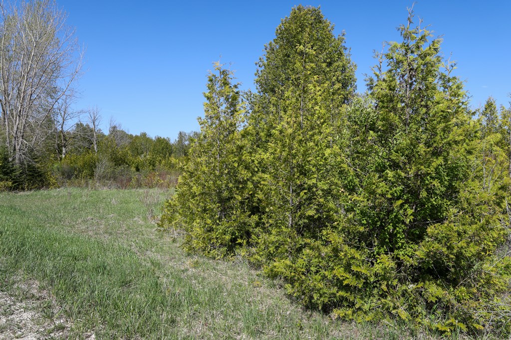 Lot 8 Golf View Road Sturgeon Bay, WI 54235 - Photo 3 of 38