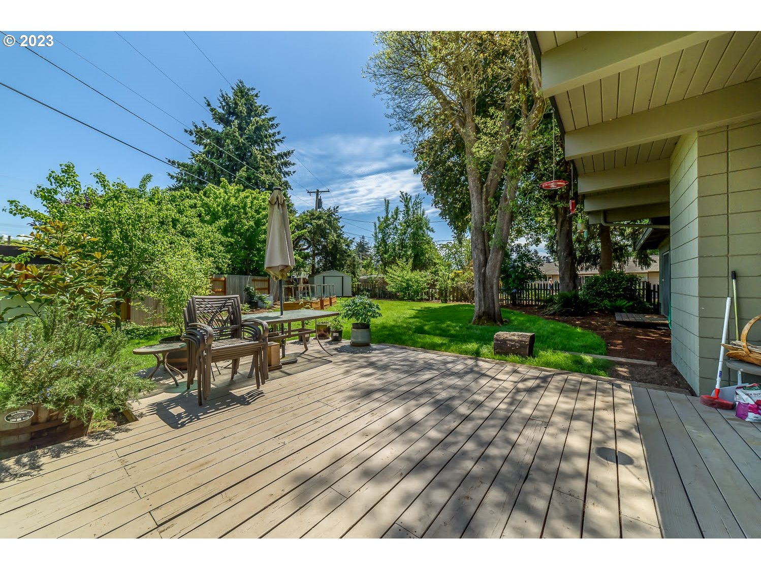 491 Winston Place Springfield, OR 97477 - Photo 30 of 34 Backyard