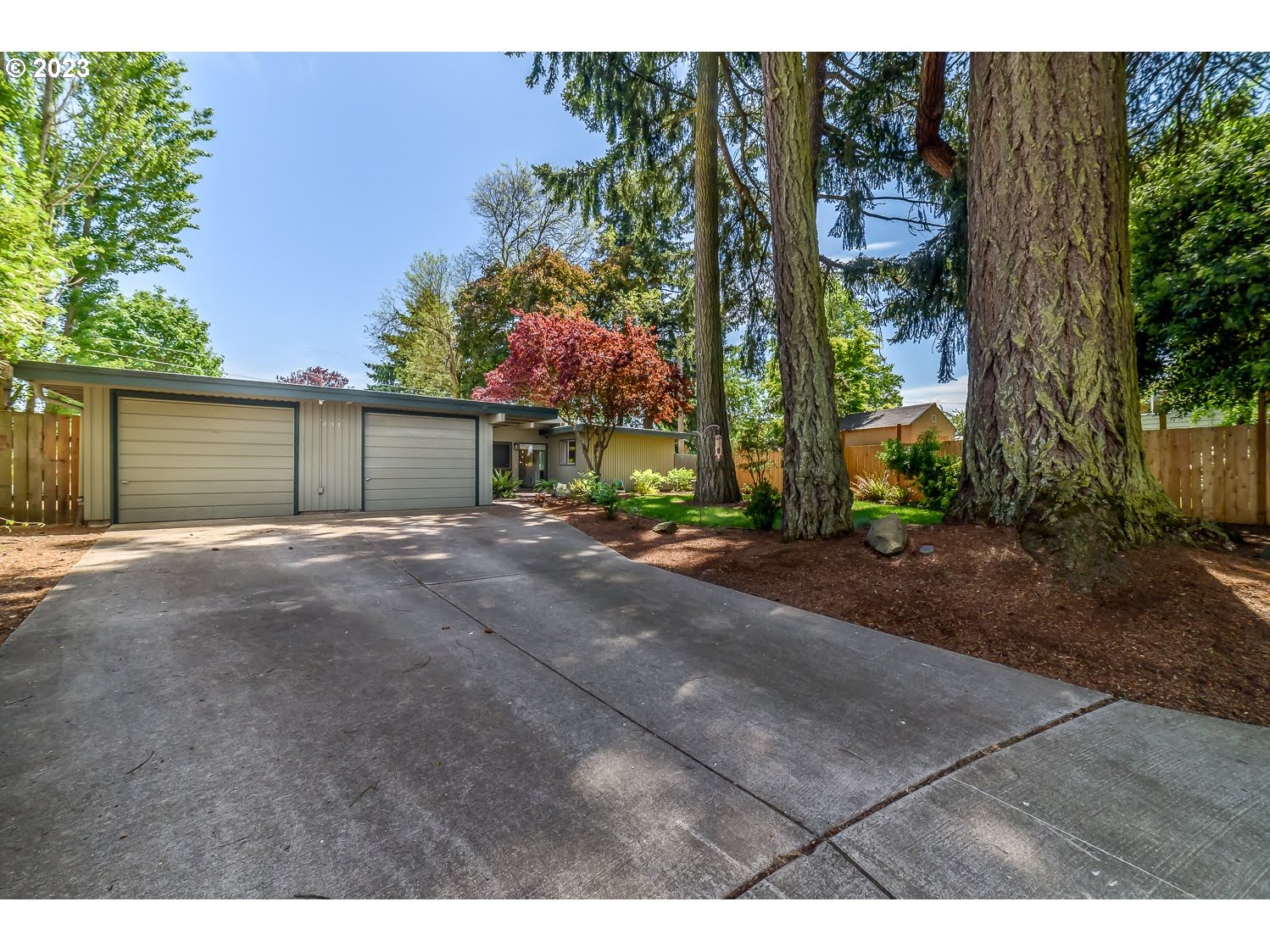 491 Winston Place Springfield, OR 97477 - Photo 5 of 34 Yard
