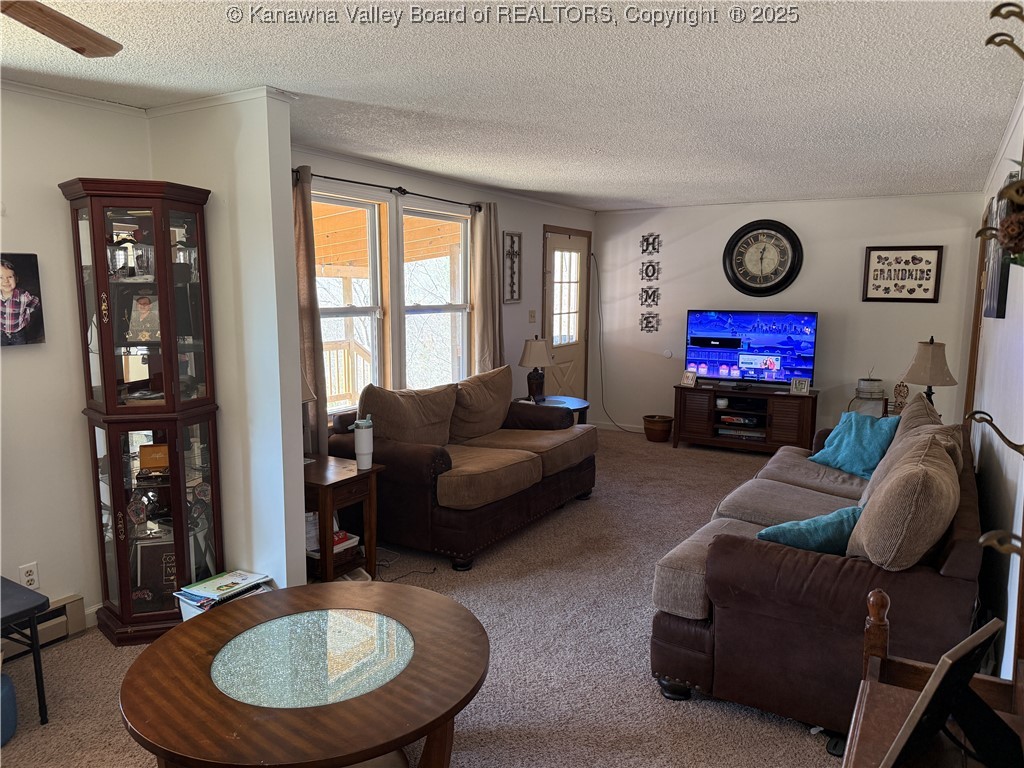 2337 Big Pigeon Road Procious, WV 25164 - Photo 12 of 37 Gallery Image 12