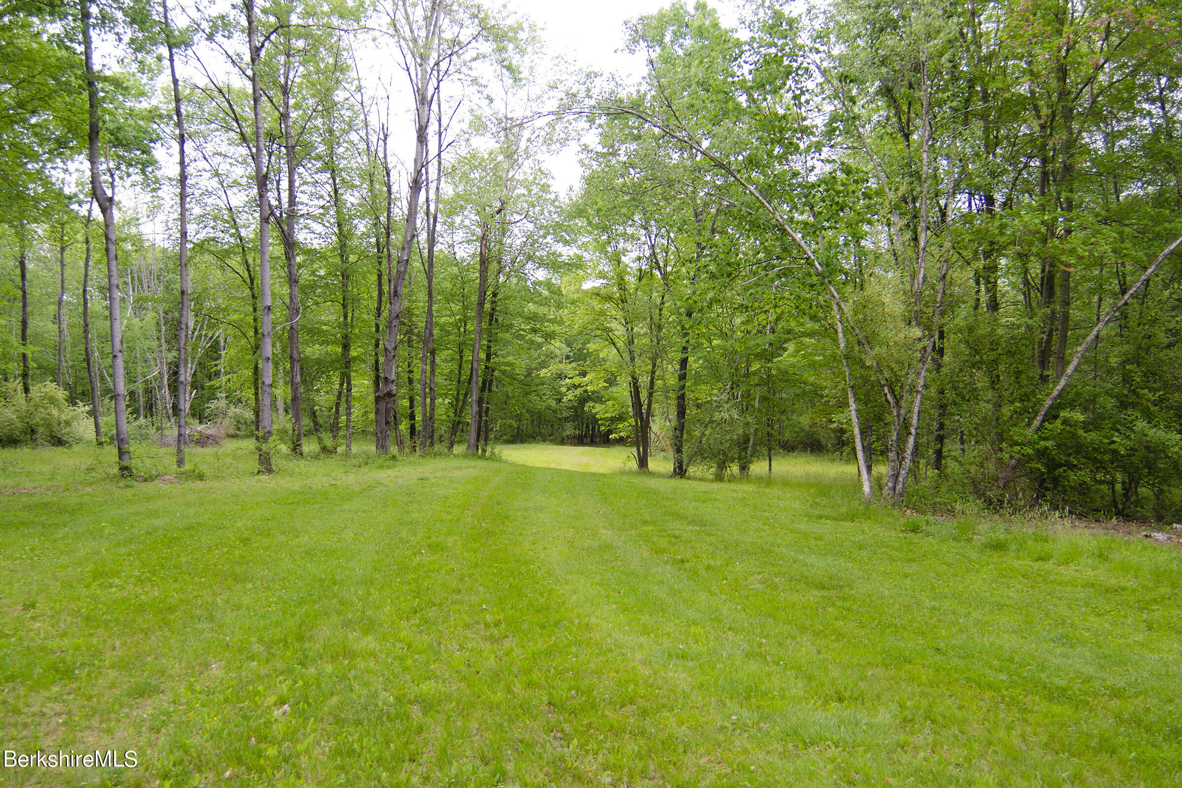 Doodletown Road Ancram, NY 12502 - Photo 2 of 16 Open area