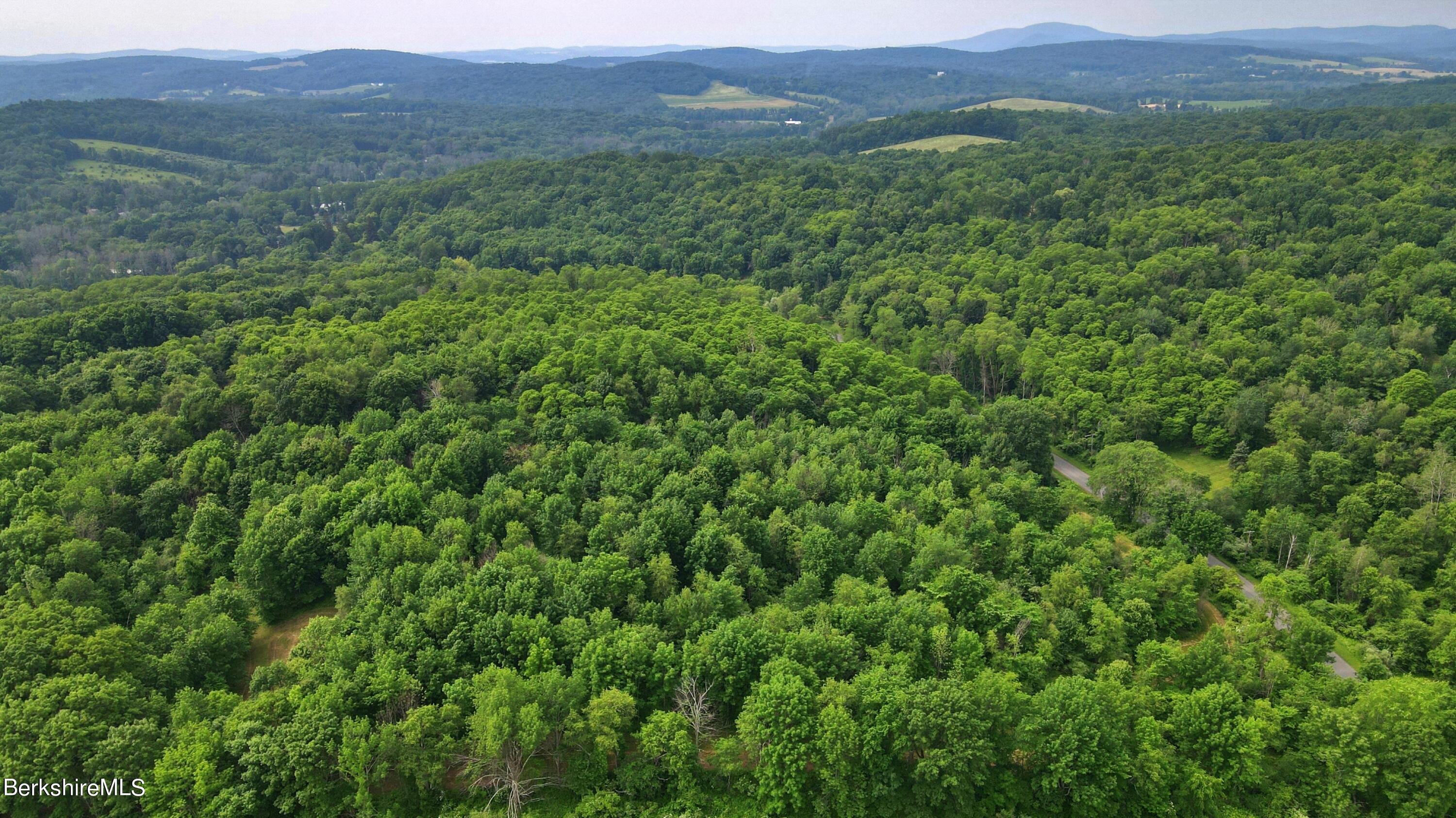 Doodletown Road Ancram, NY 12502 - Photo 13 of 16 View
