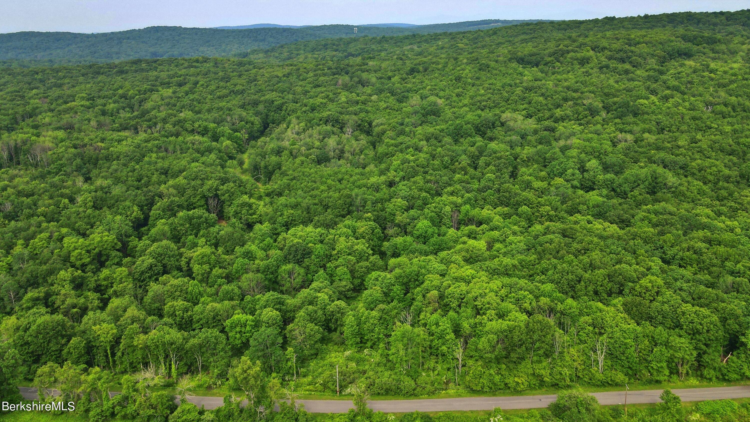 Doodletown Road Ancram, NY 12502 - Photo 14 of 16 View