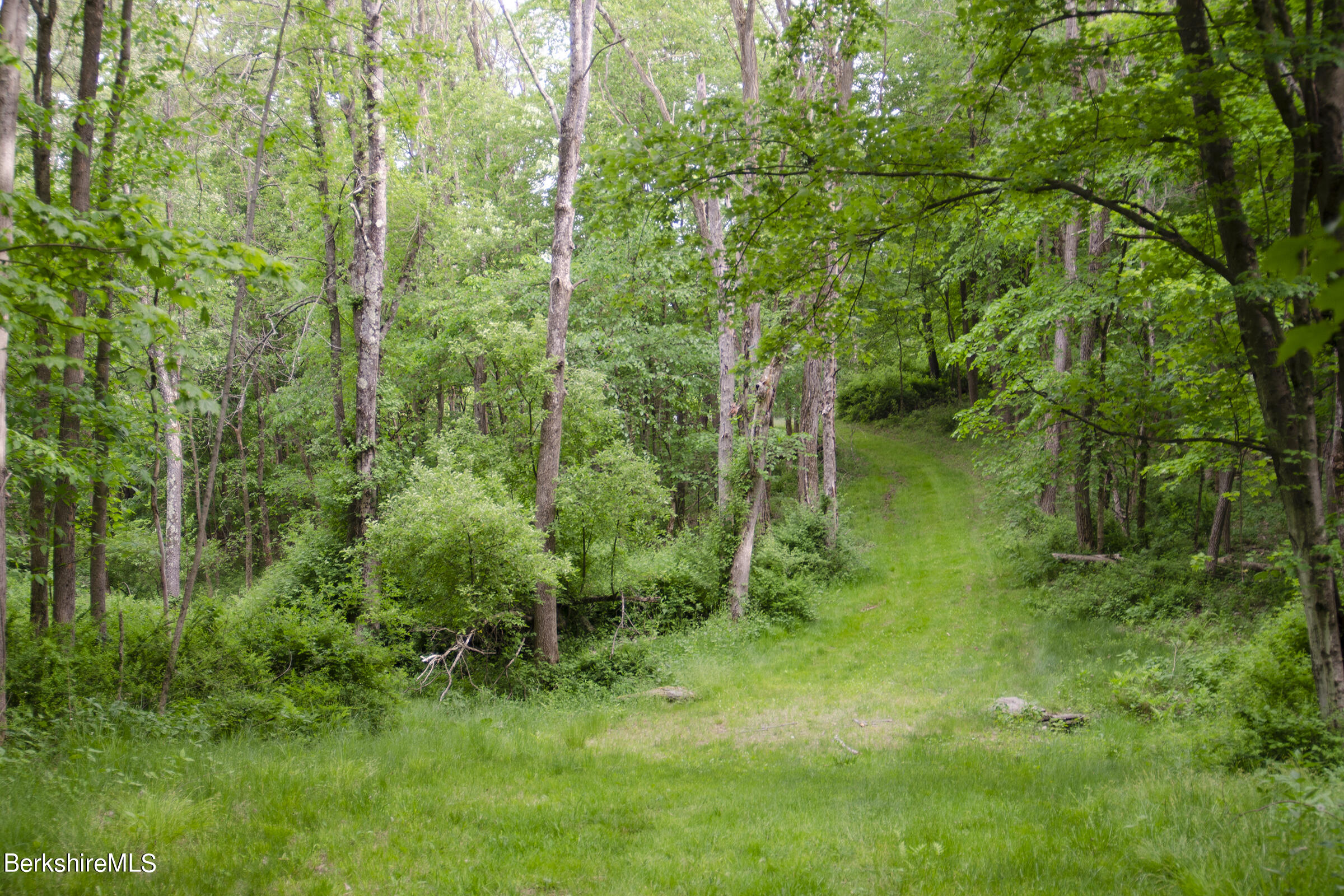 Doodletown Road Ancram, NY 12502 - Photo 3 of 16 Cleared path