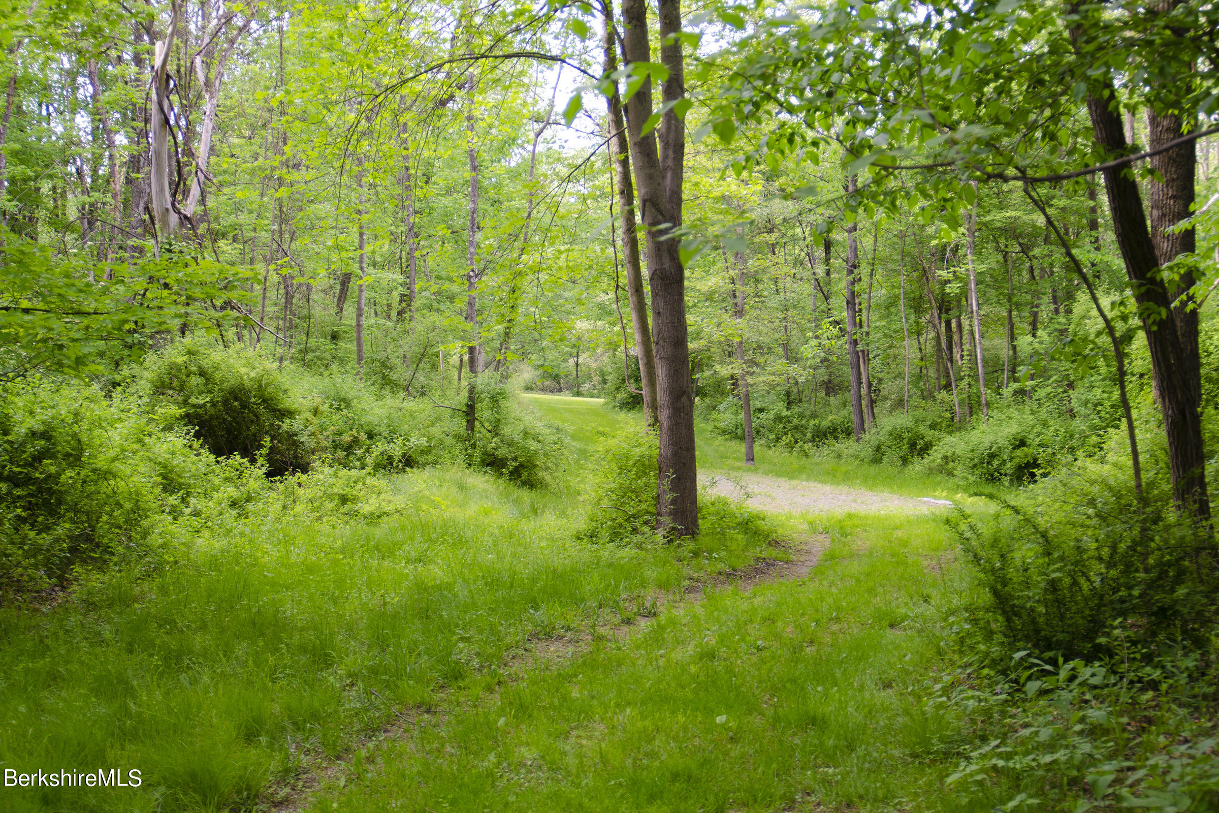 Doodletown Road Ancram, NY 12502 - Photo 4 of 16 Path