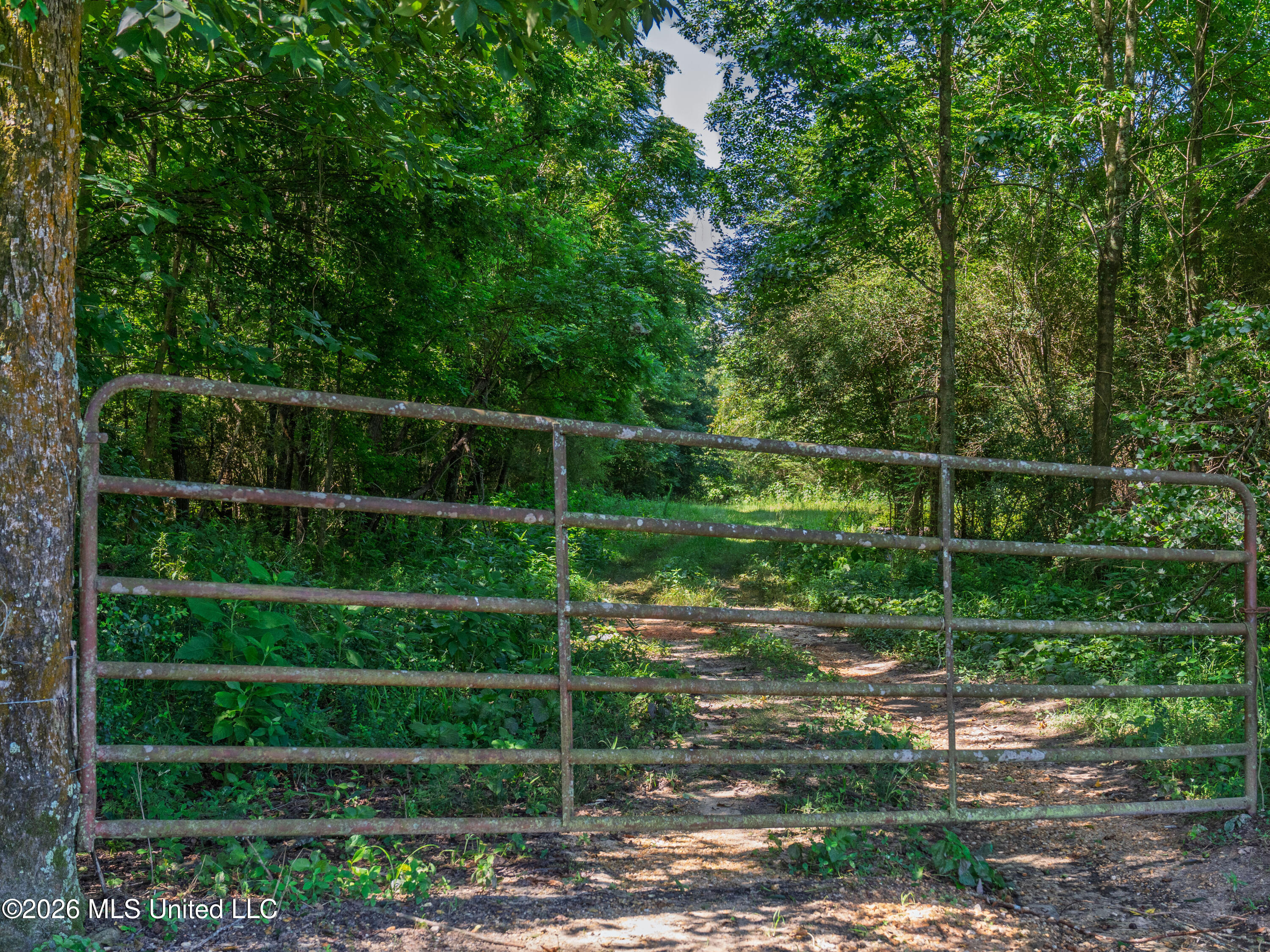 23 Co Road Bay Springs, MS 39422 - Photo 3 of 64 2