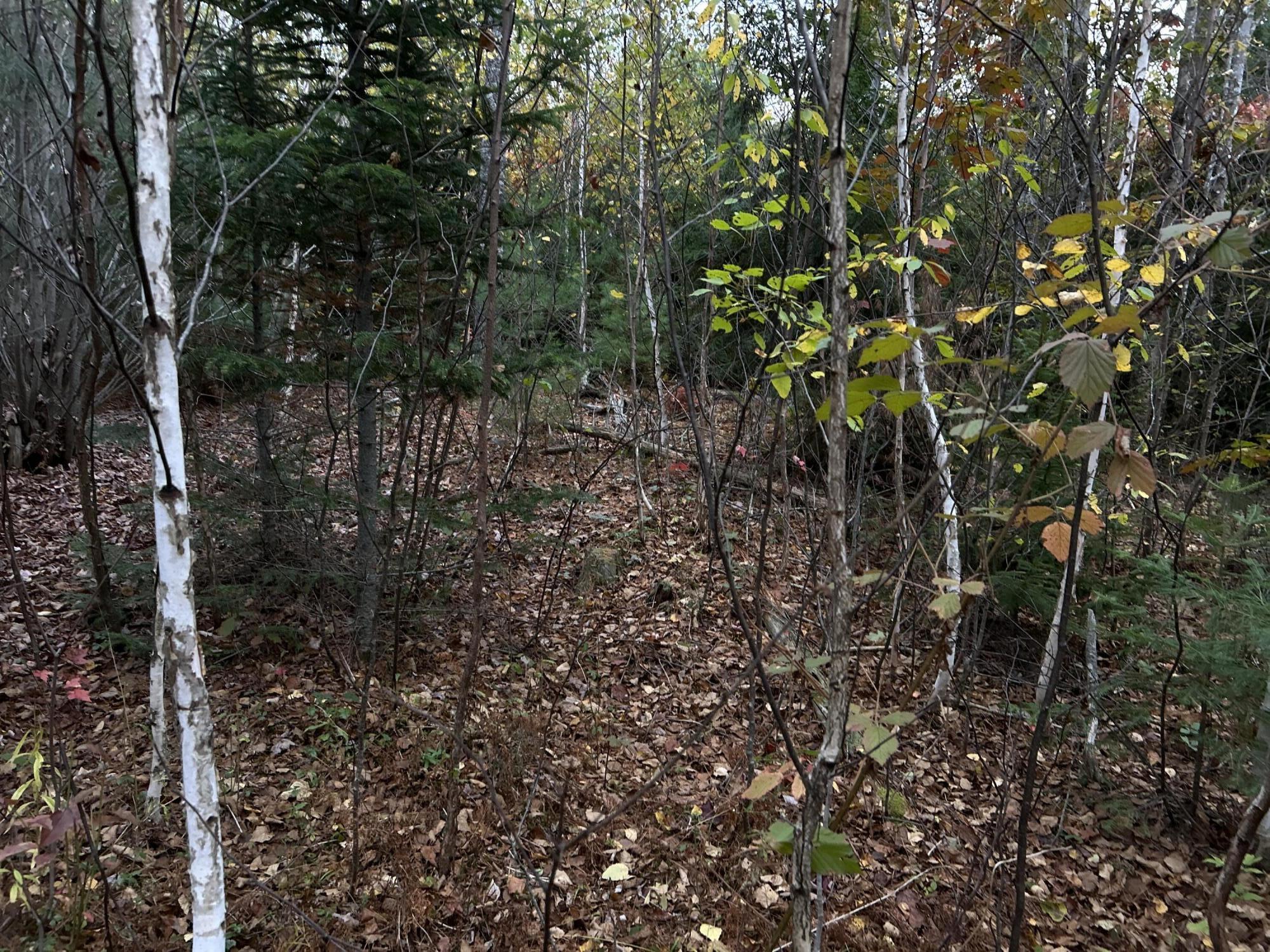 401 Genthner Road Waldoboro, ME 04572 - Photo 17 of 35