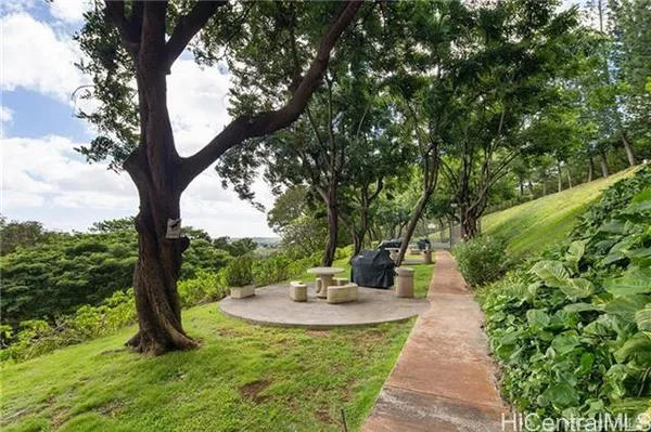 a view of a garden with lawn chairs
