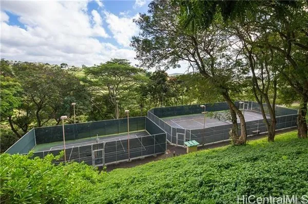 a view of a backyard with plants and large trees