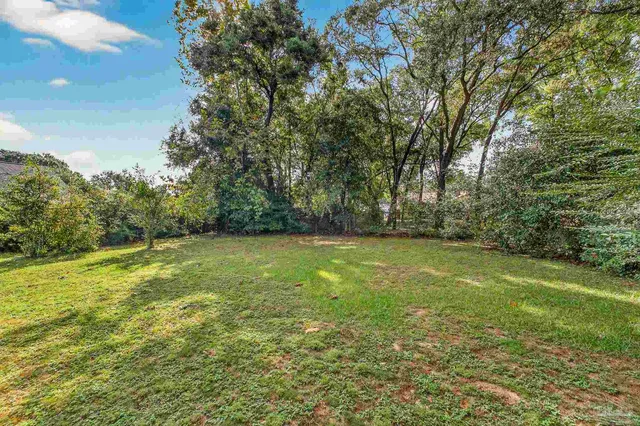 a view of house with a big yard and large trees