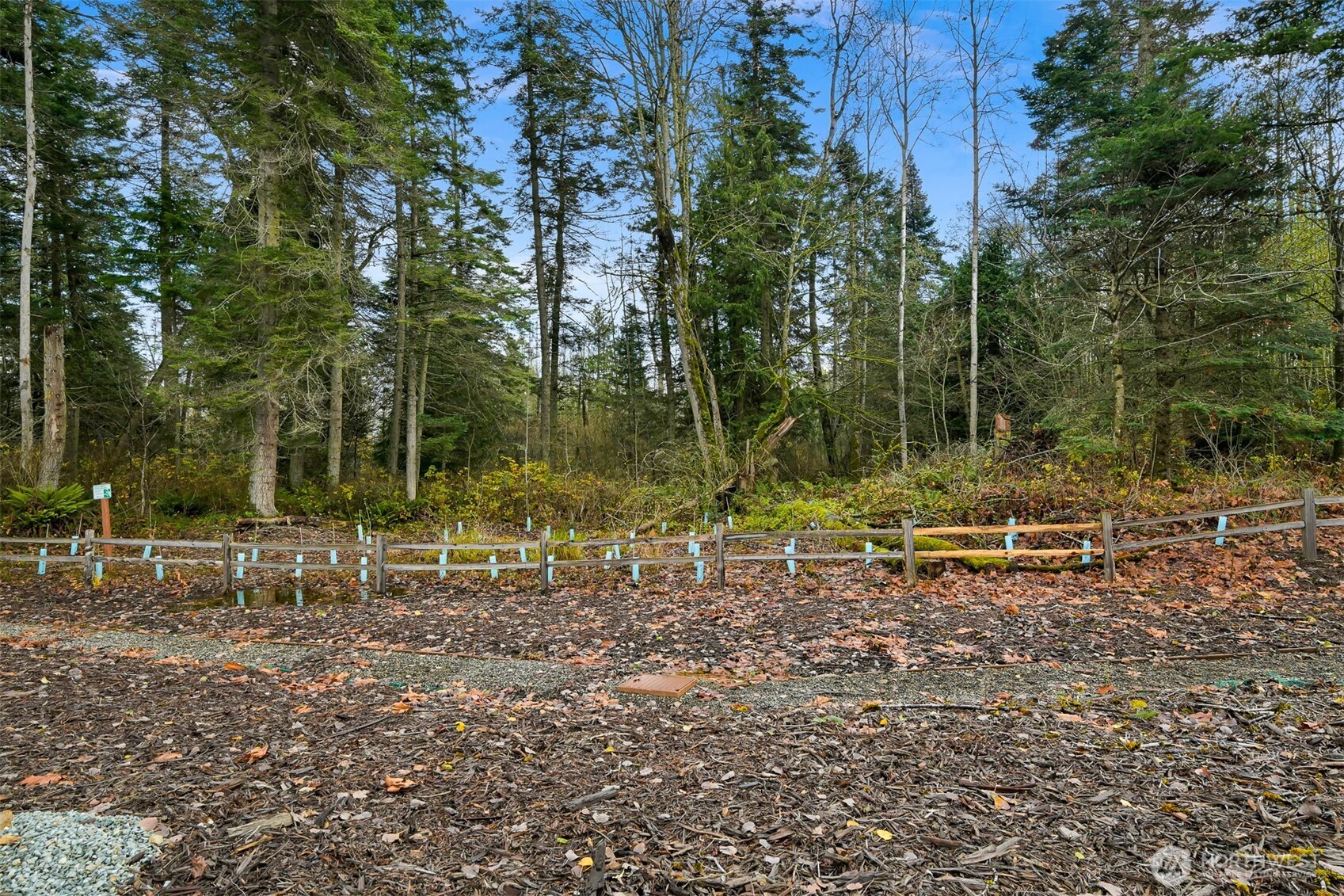 4268 Creston Way Bellingham, WA 98226 - Photo 38 of 40 a view of a park with large trees