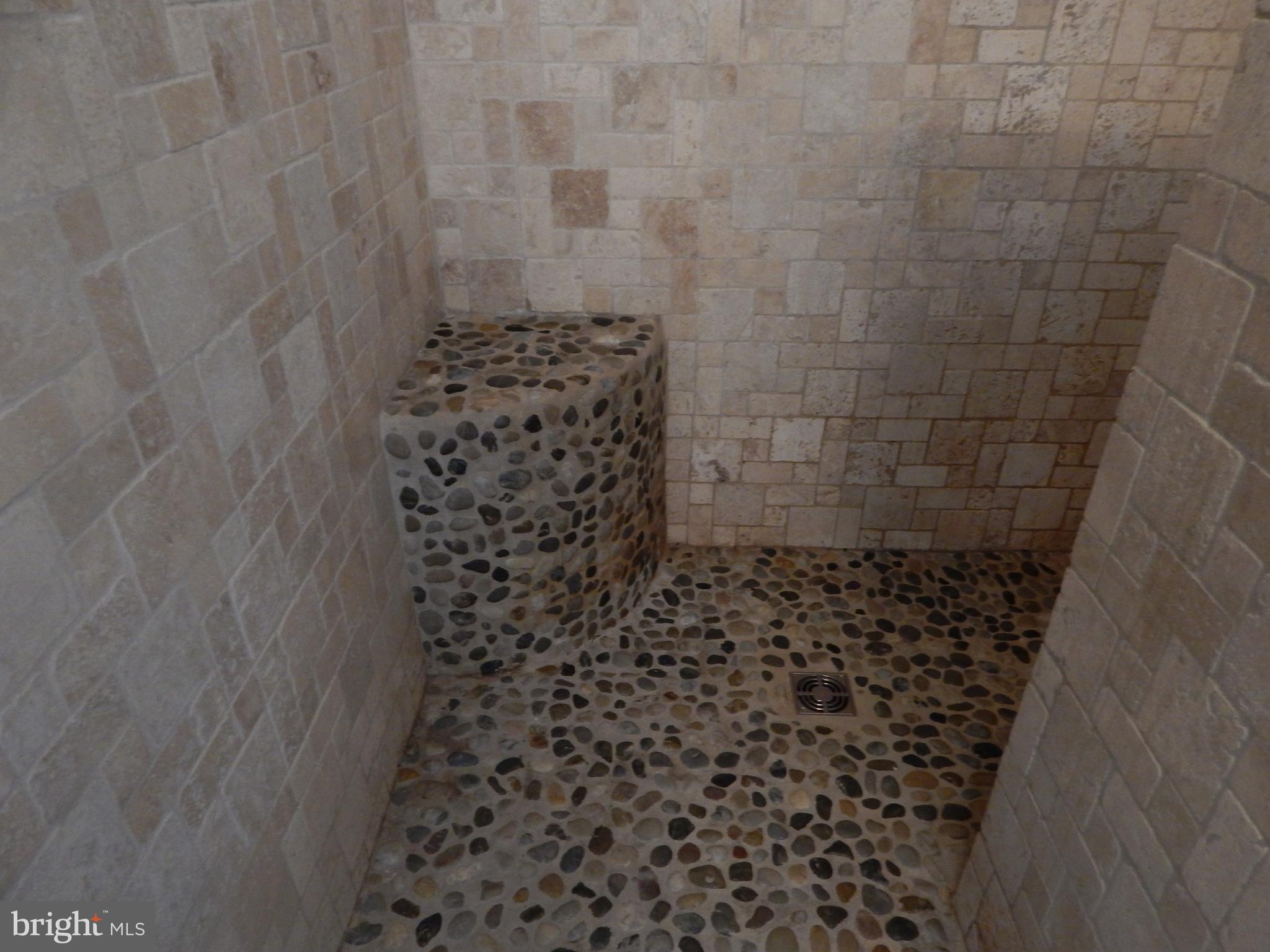 916 Hartly Road Hartly, DE 19953 - Photo 30 of 61 Beautiful Shower Floor