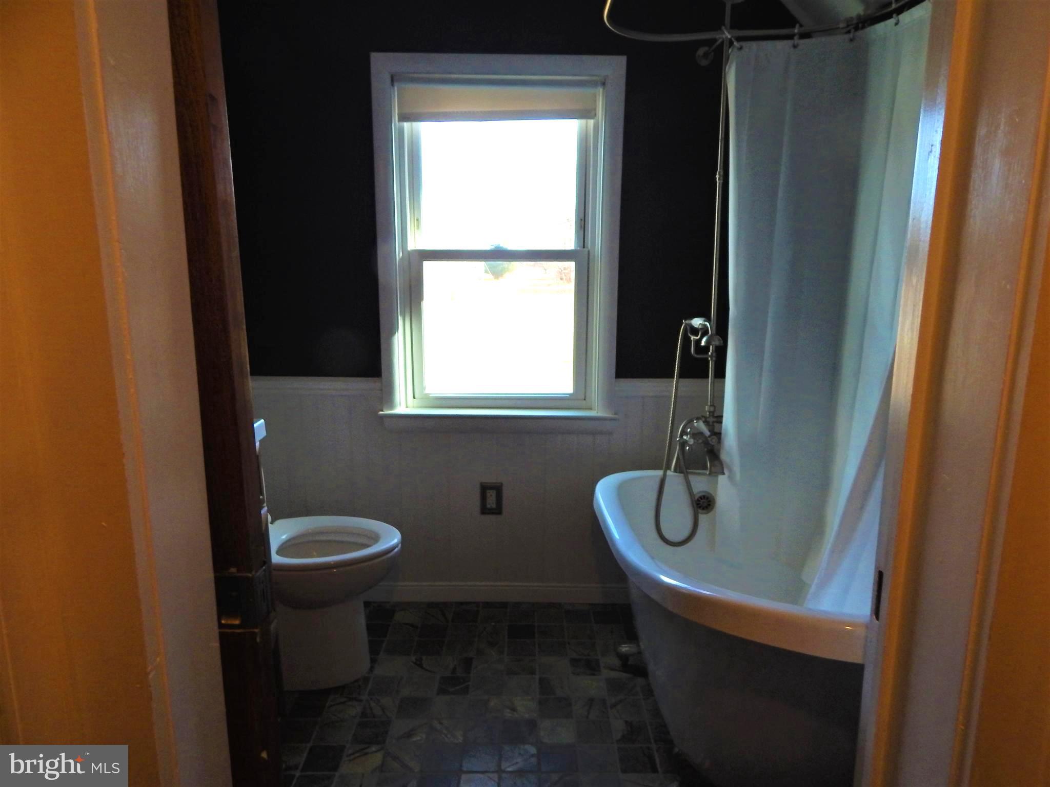 916 Hartly Road Hartly, DE 19953 - Photo 36 of 61 Clawfoot Tub