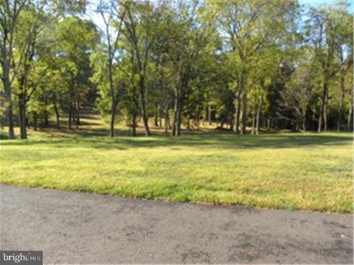 414 Brownsburg Road Upper Makefield, PA 18940 - Photo 5 of 6