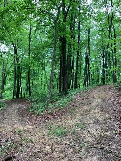 14218 Little Cola Road Rockbridge, OH 43149 - Photo 26 of 31 Trails_5