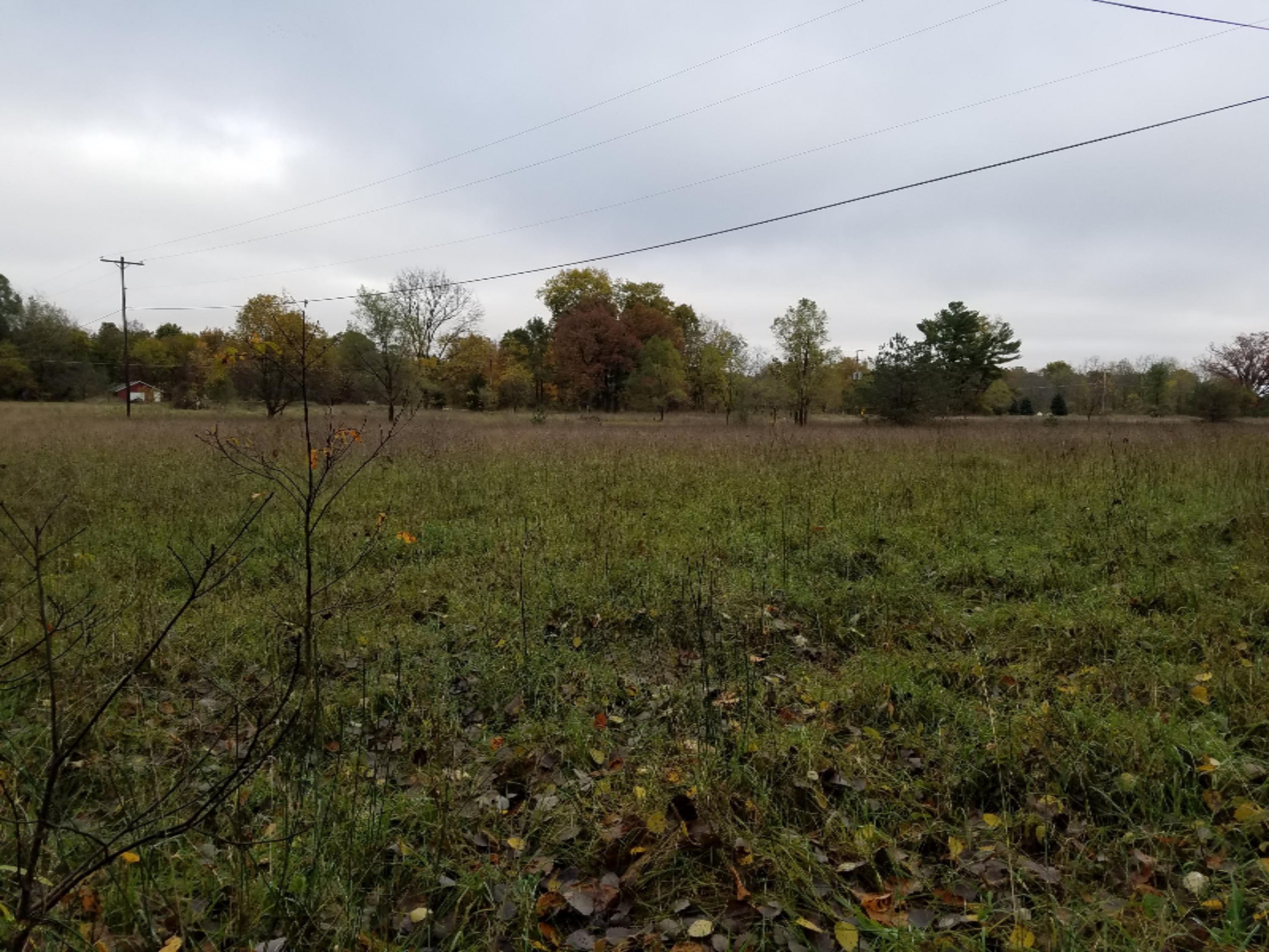 3560 Monroe Road Allegan, MI 49010 - Photo 8 of 16 20161027_122633