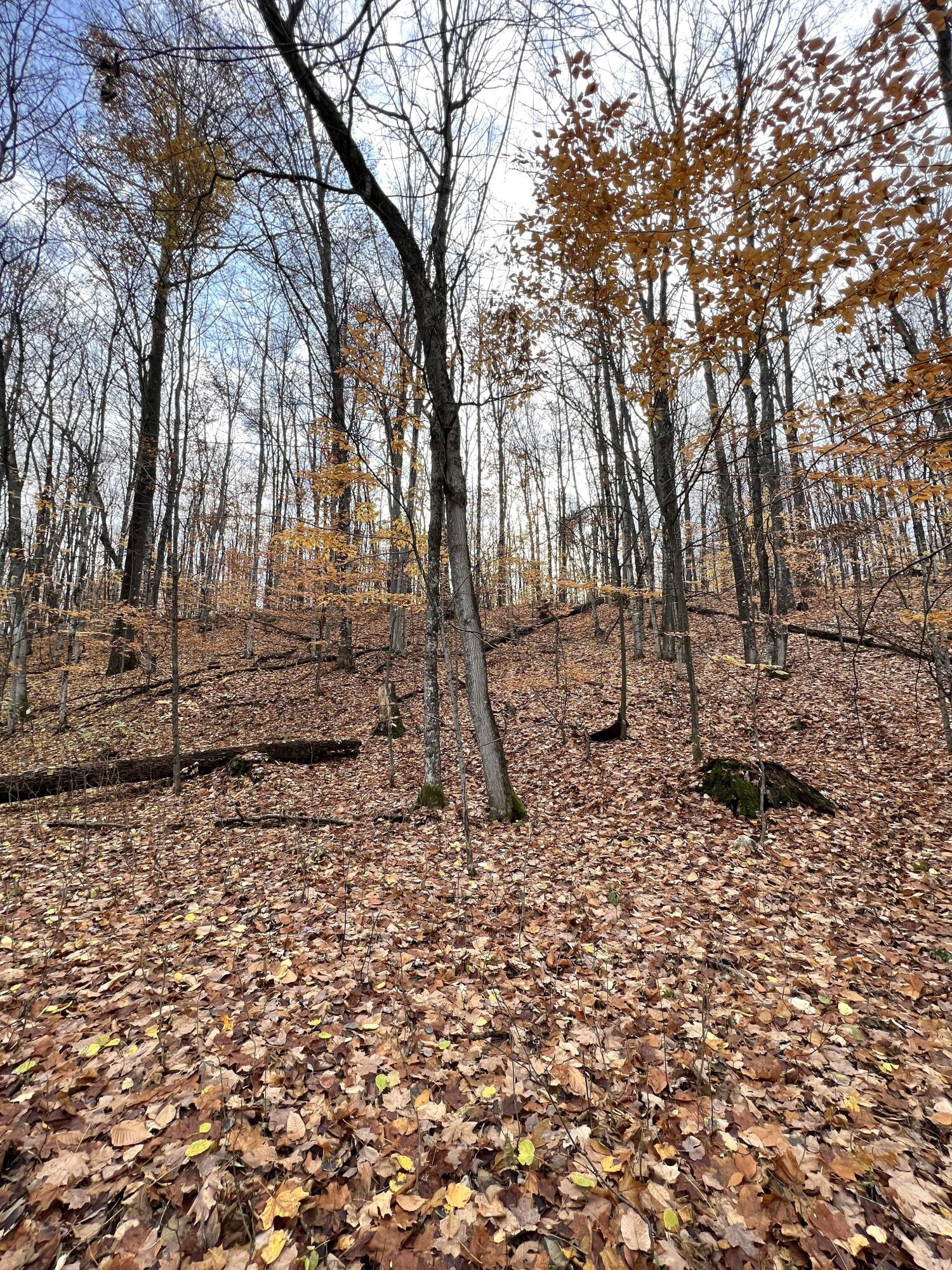 2768 Division Road Pellston, MI 49769 - Photo 5 of 15 Gallery Image 5