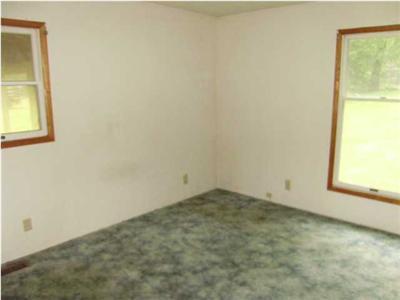 8450 Bricker Road Belding, MI 48838 - Photo 10 of 20 Additional Photo