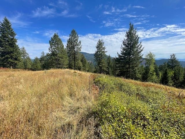 745 D Dry Gulch Road Colville, WA 99114 - Photo 8 of 19 Gallery Image 8