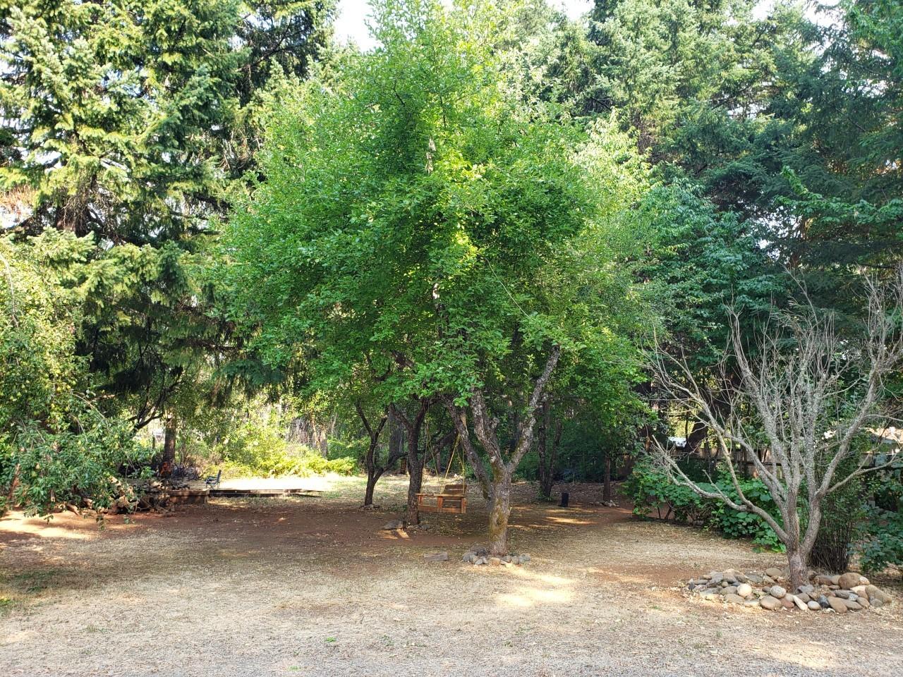 283 South Old Stage Road Cave Junction, OR 97523 - Photo 18 of 28 283 2