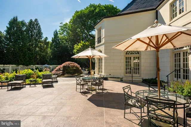 a view of backyard with outdoor seating and plants