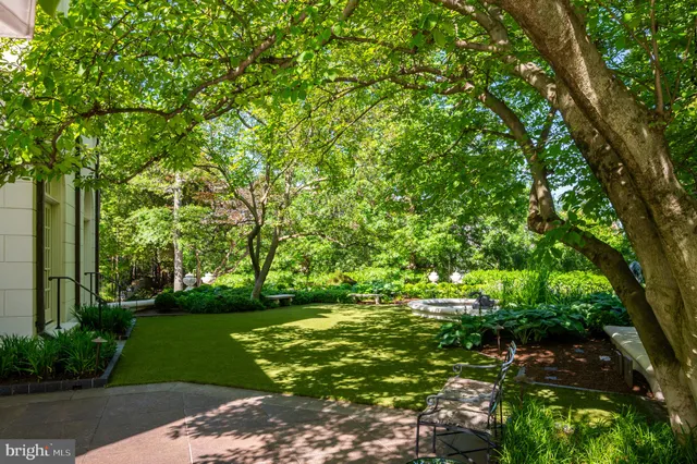 a big yard with lots of green space and trees