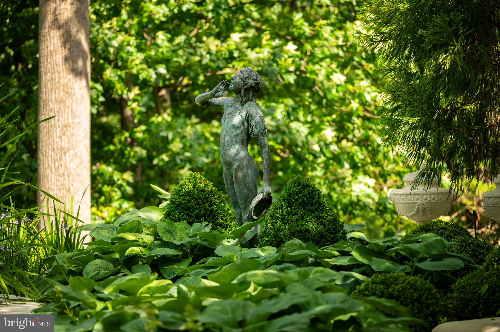 2838 McGill Terrace Northwest Washington, DC 20008 - Photo 28 of 50 a view of a tree