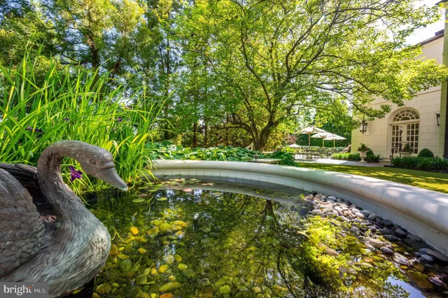 a view of swimming pool with a yard