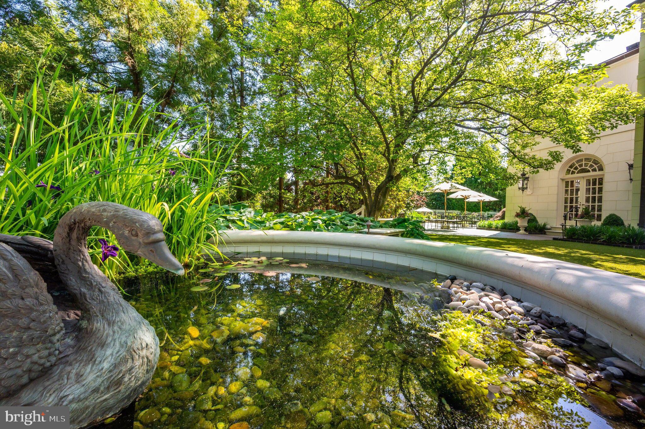 2838 McGill Terrace Northwest Washington, DC 20008 - Photo 29 of 50 a view of swimming pool with a yard
