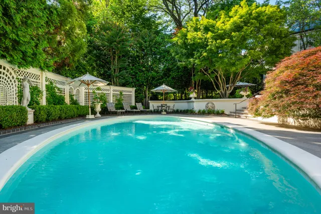 a view of backyard with a garden and trees