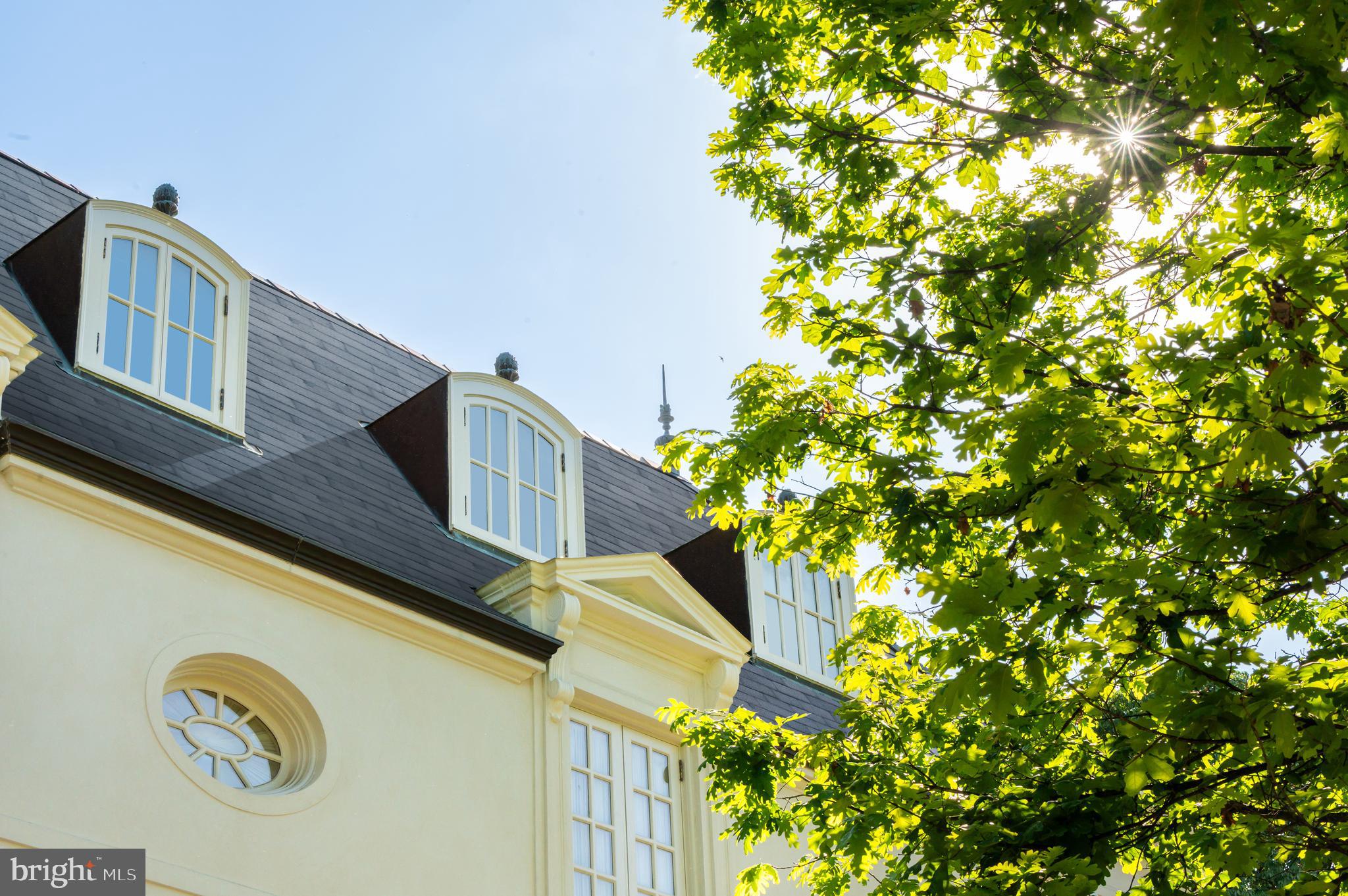 2838 McGill Terrace Northwest Washington, DC 20008 - Photo 5 of 50 a house view with a tree in front of it