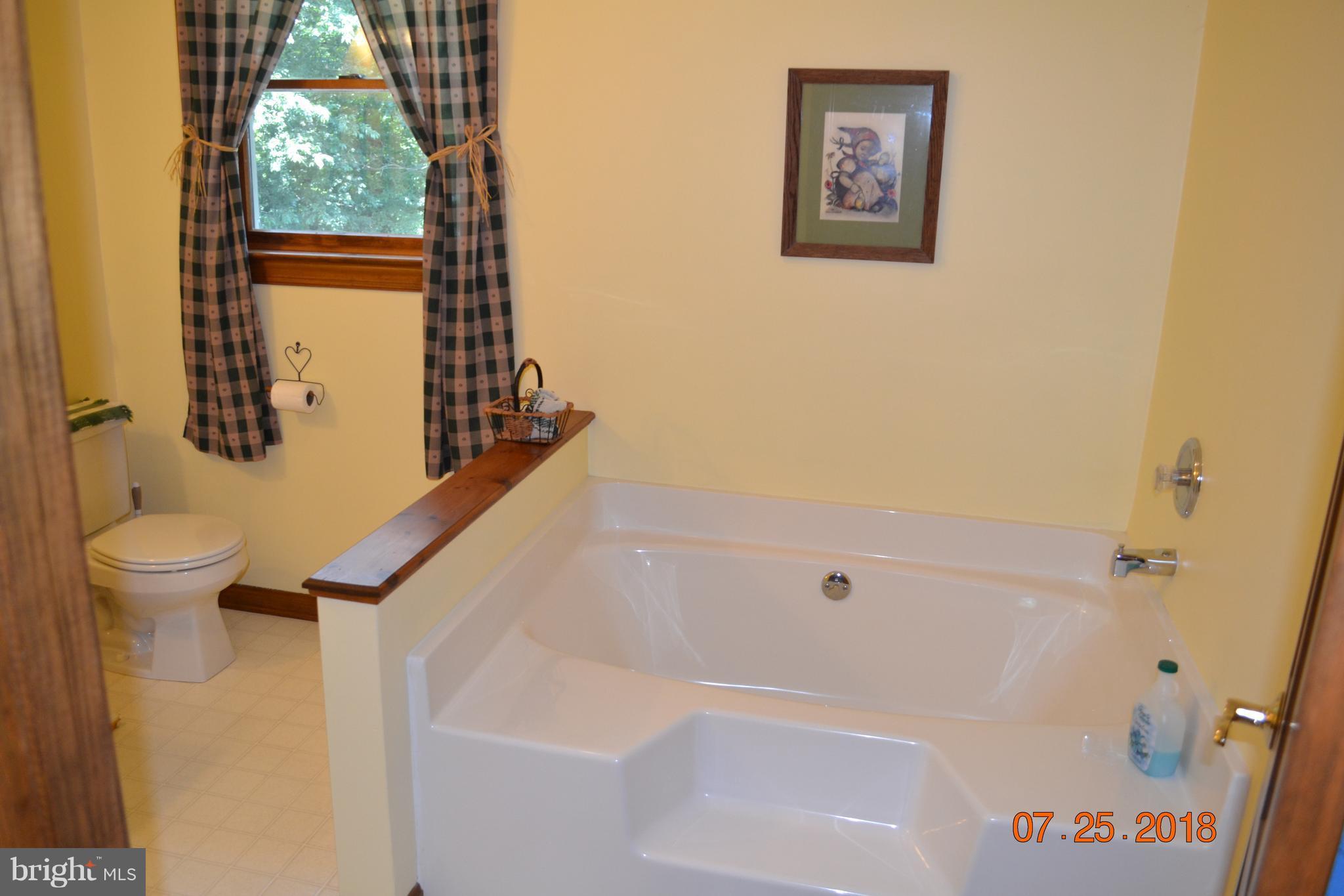 2582 Pleasant Hill Road Hanover, PA 17331 - Photo 16 of 30 Soaking Tub
