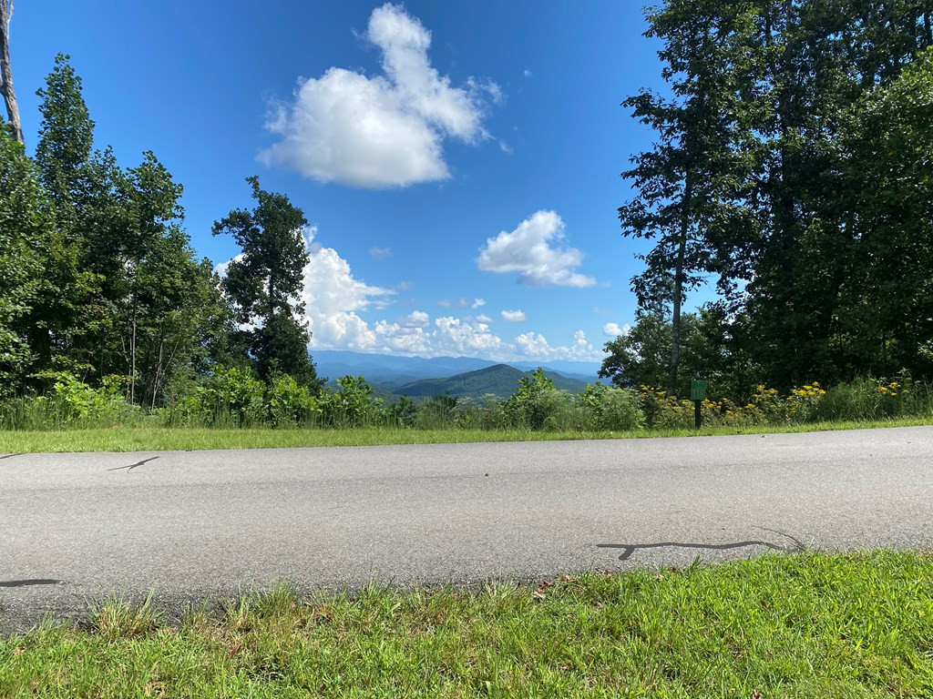115 Vance Mountain Road Murphy, NC 28906 - Photo 2 of 13